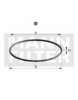 MANN-FILTER Di 95-07 Seal, oil filter